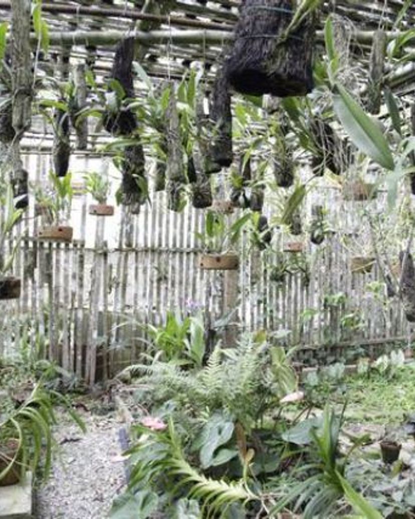 Trail “Wonders of Soroa”