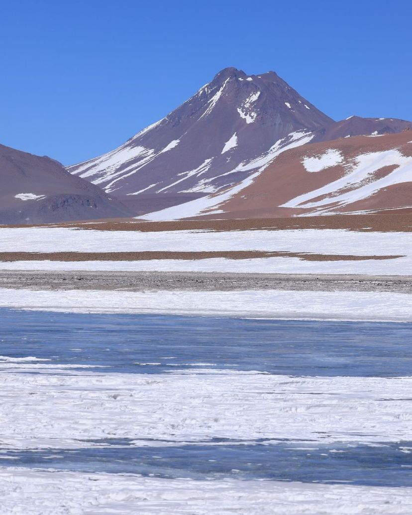 Excursión “RUTA DE LOS SALARES”