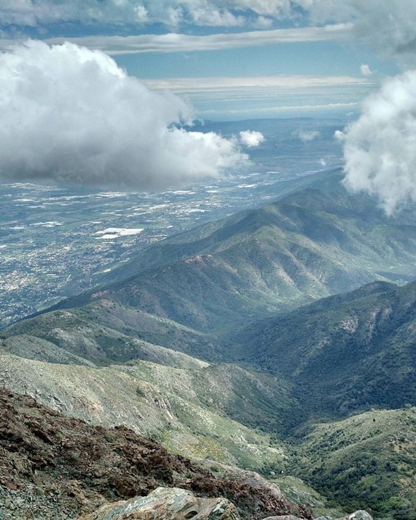 Excursión “VISITA AL CAMPO Y PALMAS CHILENAS”