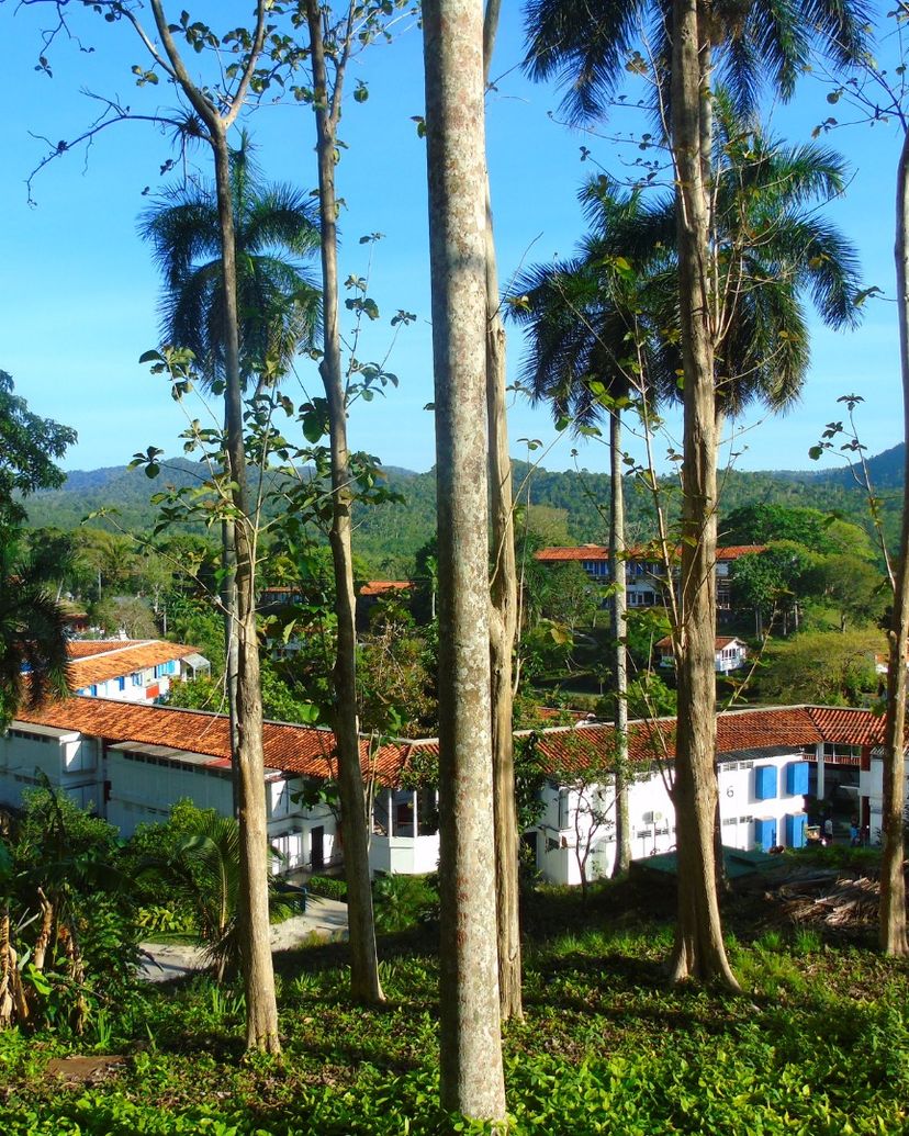 Las Terrazas comunity panoramic view, Artemisa, Cuba.