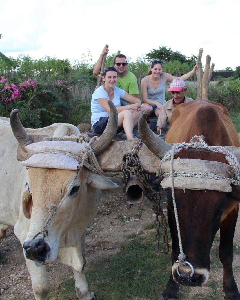 Finca la Belén, Camaguey