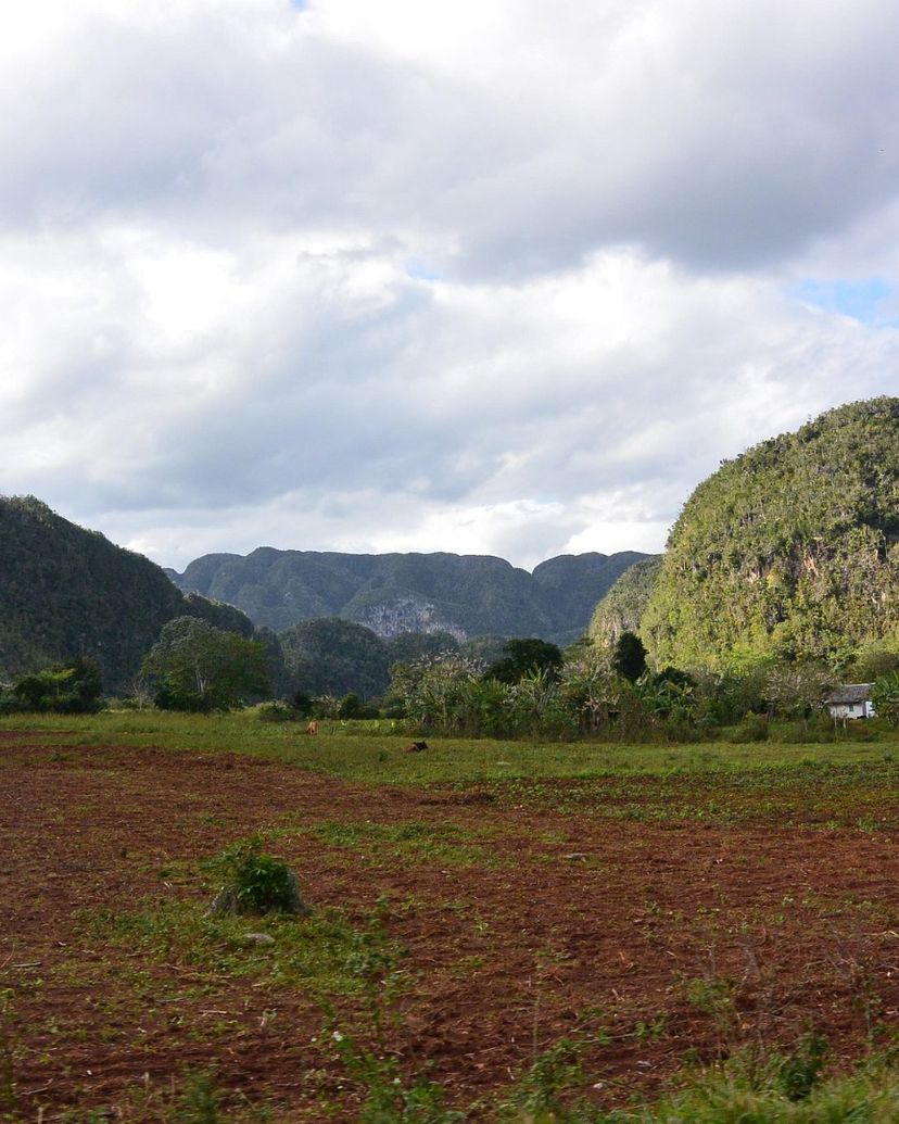 “THE LANDSCAPES IN THE VIÑALES VALLEY TRAIL” Tour, Viñales, Pinar del Río, Cuba.