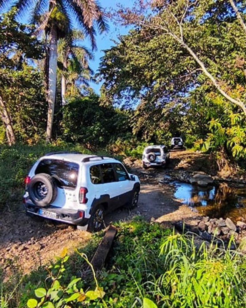 Jeep Safari “NATURE TOUR BIRDWATCHING ON THE BERMEJAS TRAIL”
