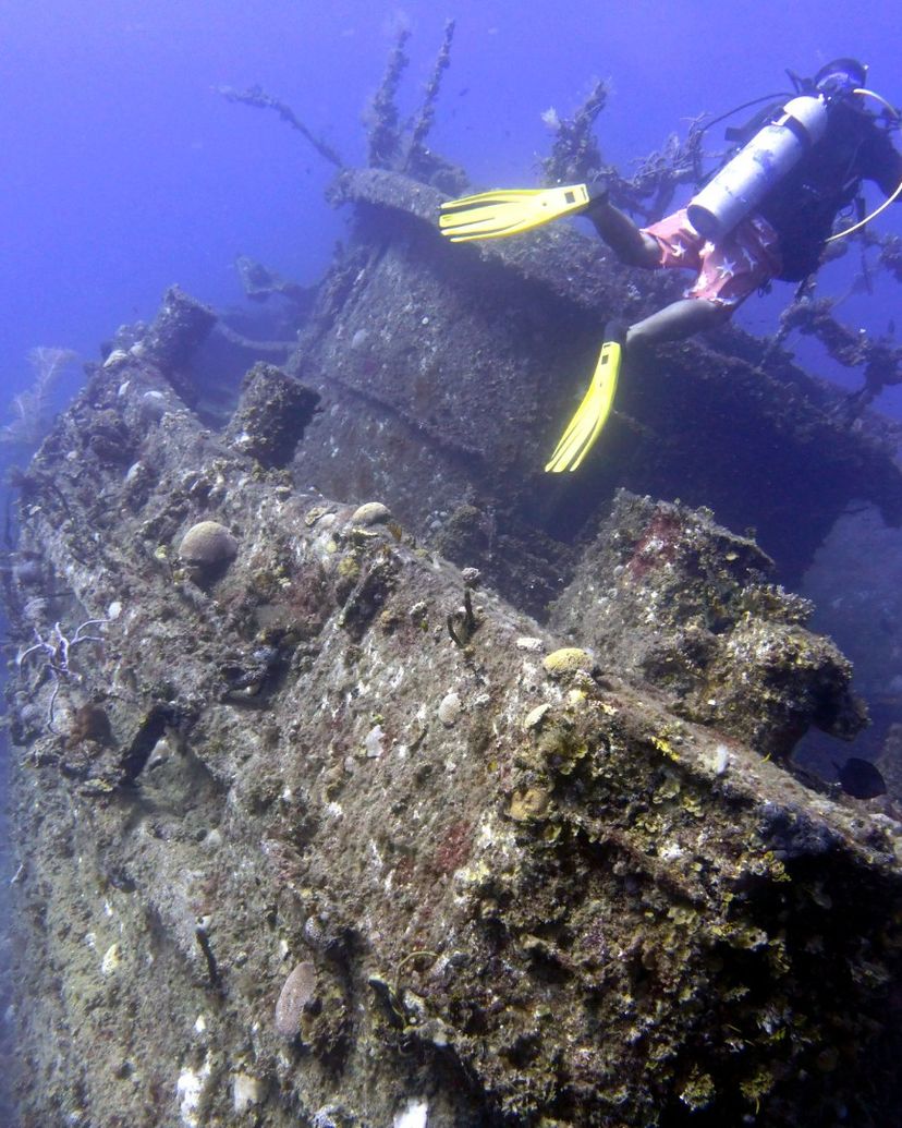 “SCUBA DIVING IN SANTA LUCIA” Tour
