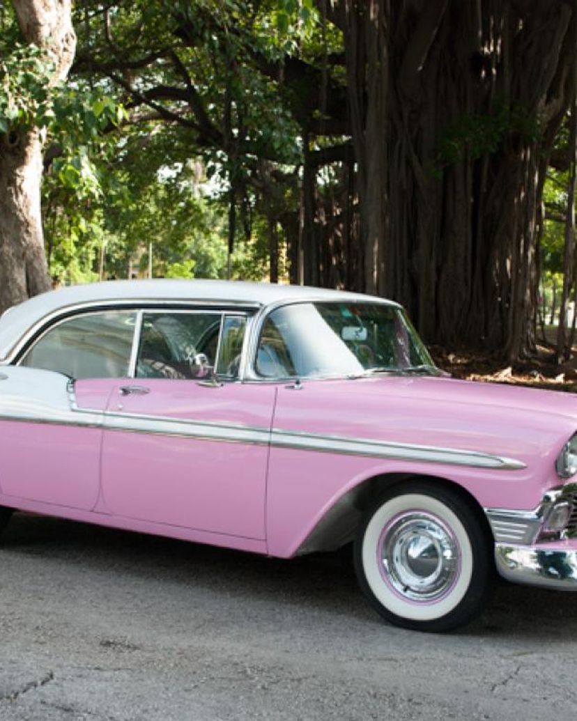 "Guamá - Playa Girón - Caleta Buena" Private Tour in American Classic Cars