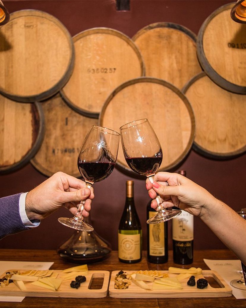 “SANTA RITA WINERY” Tour, Chile.