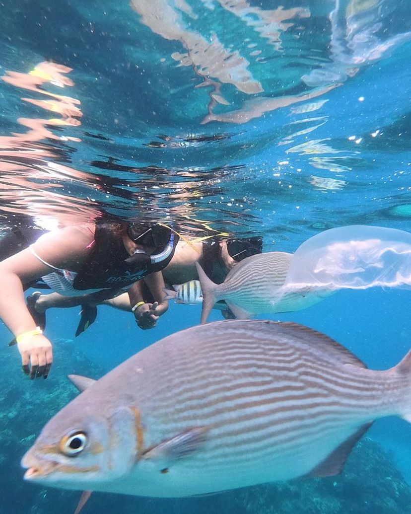 Snorkeling at Playa Coral, Matanzas, Cuba.