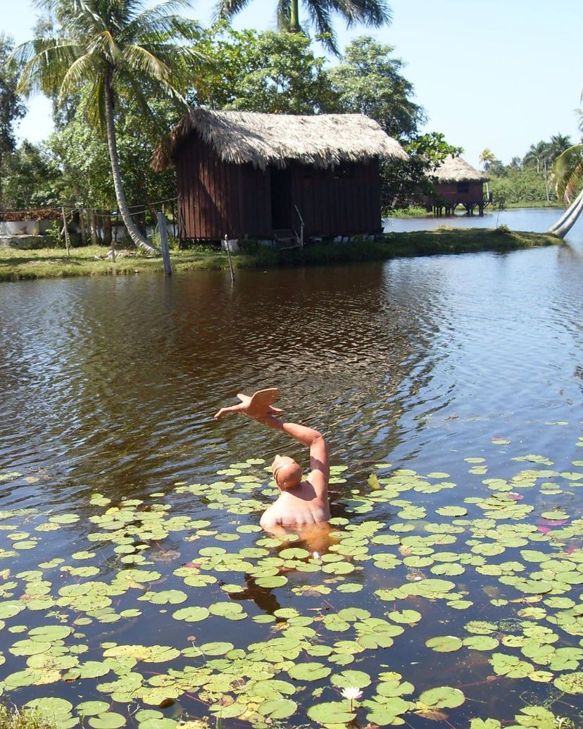 "TOUR TO THE CARIBBEAN" Tour, Zapata peninsula, Matanzas, Cuba