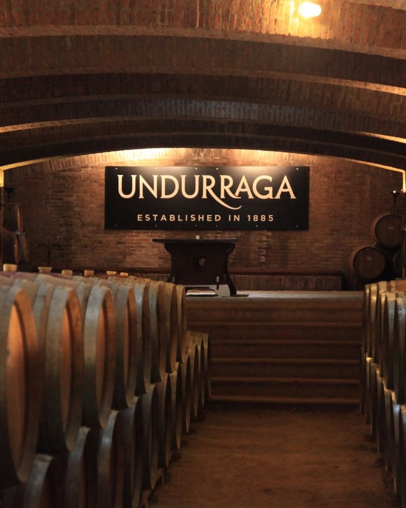 “UNDURRAGA WINERY” Tour, Chile.