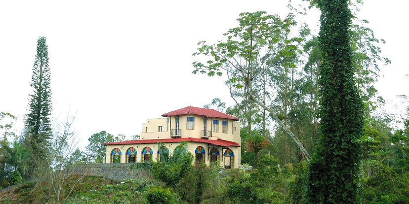 Museo de Arte Cubano - Bar