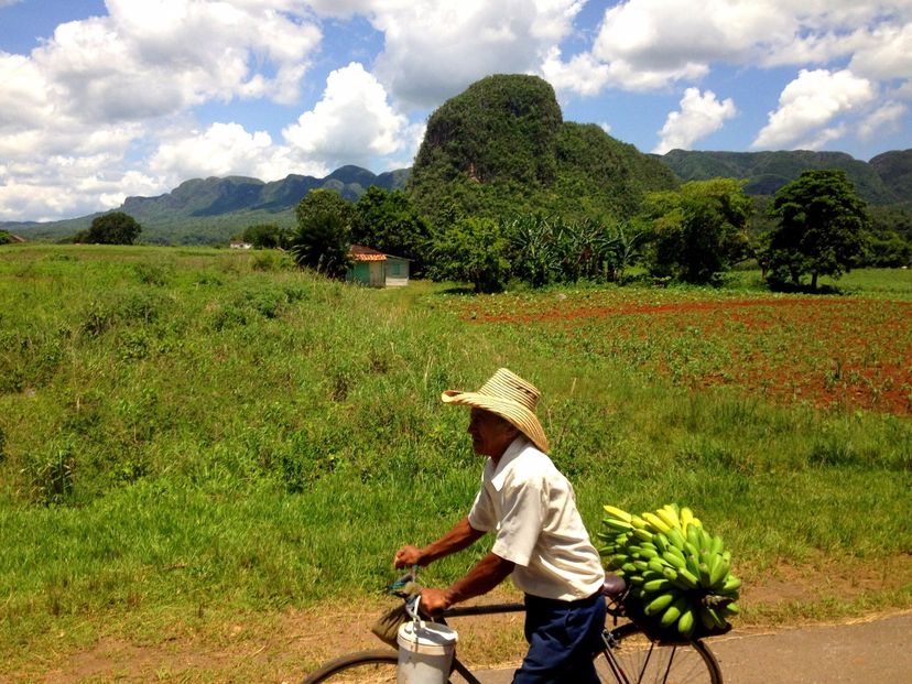Viñales valley National Park, declared a Cultural Heritage Site by UNESCO, Pinar del Río