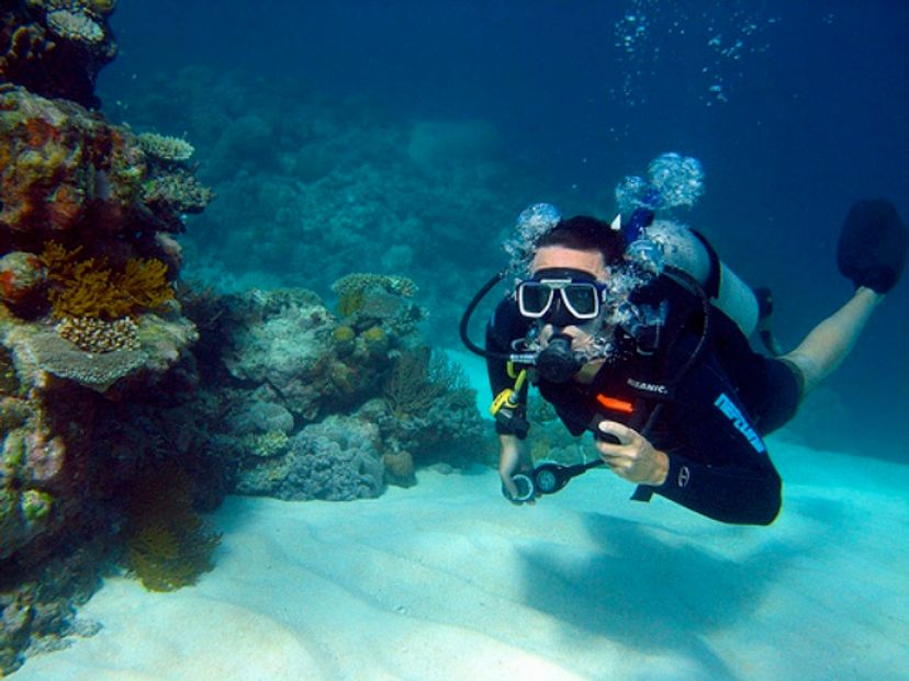“SCUBA DIVING IN TARARÁ” Tour, Playas del Este, La Habana, Cuba.