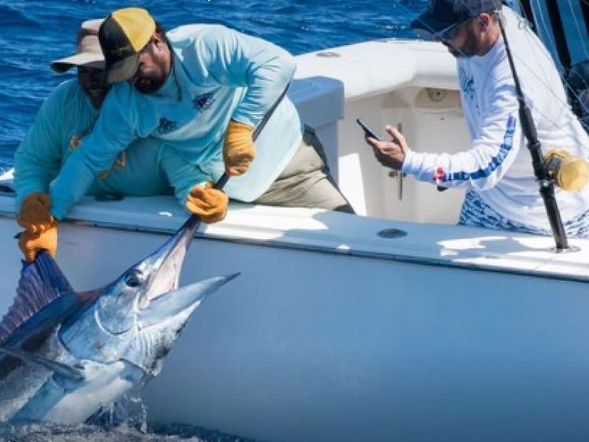 “DEEP SEA FISHING IN SIGUANEA (EL COLONY)“ Tour