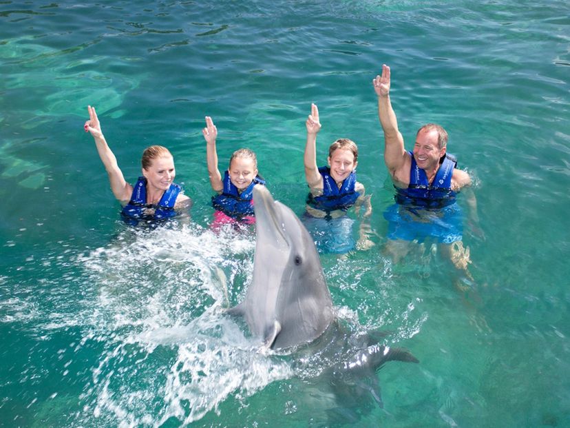 "Primax Dolphin in Riviera Maya" Tour