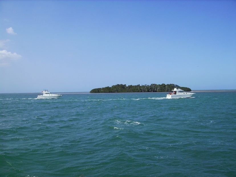 Nature Tour Seafari Isla Paraiso