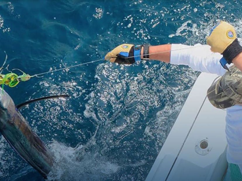 “BOTTOM FISHING IN SIGUANEA (EL COLONY)” Tour, Isla de la Juventud, Cuba.