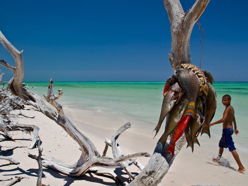 Cayo Jutías beach panoramic view, Pinar del Río, Cuba.