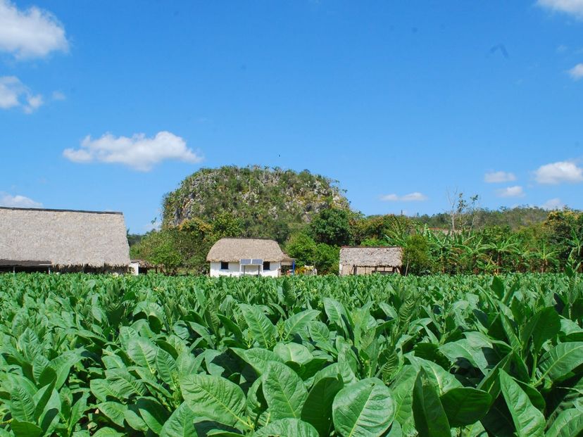 The Valley of Silence panoramic view, Viñales Valley, Pinar del Río, Cuba.