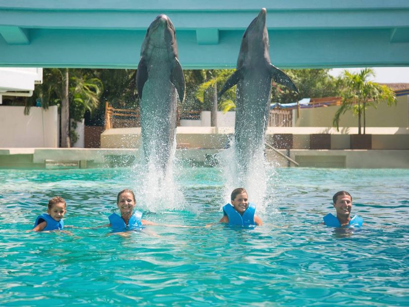 "Primax Dolphin in Cancún" Tour