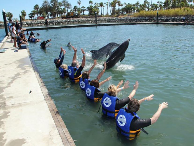 "Delfines Dolphin Encounter in Riviera Maya" Tour
