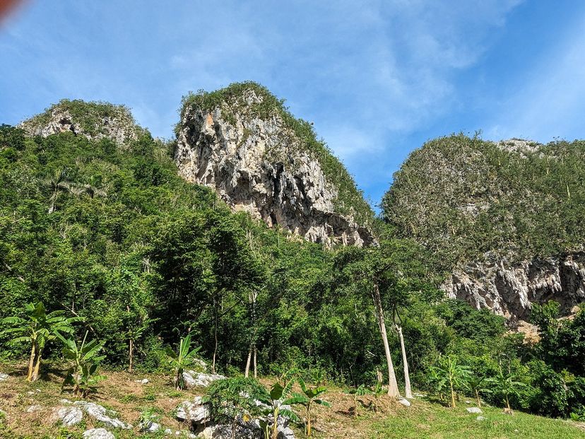 “COCO SOLO - PALMARITO TRAIL IN THE VIÑALES VALLEY” Tour, Viñales, Pinar del Río, Cuba.