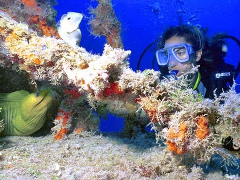 "Diving in Cayo Levisa” Tour
