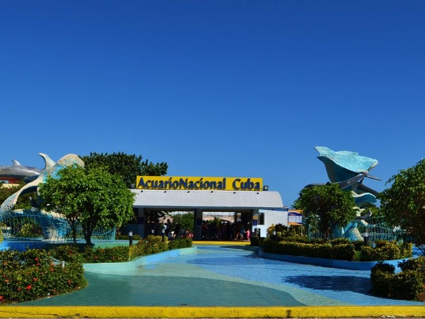 The National Aquarium of Cuba, Havana, Cuba.