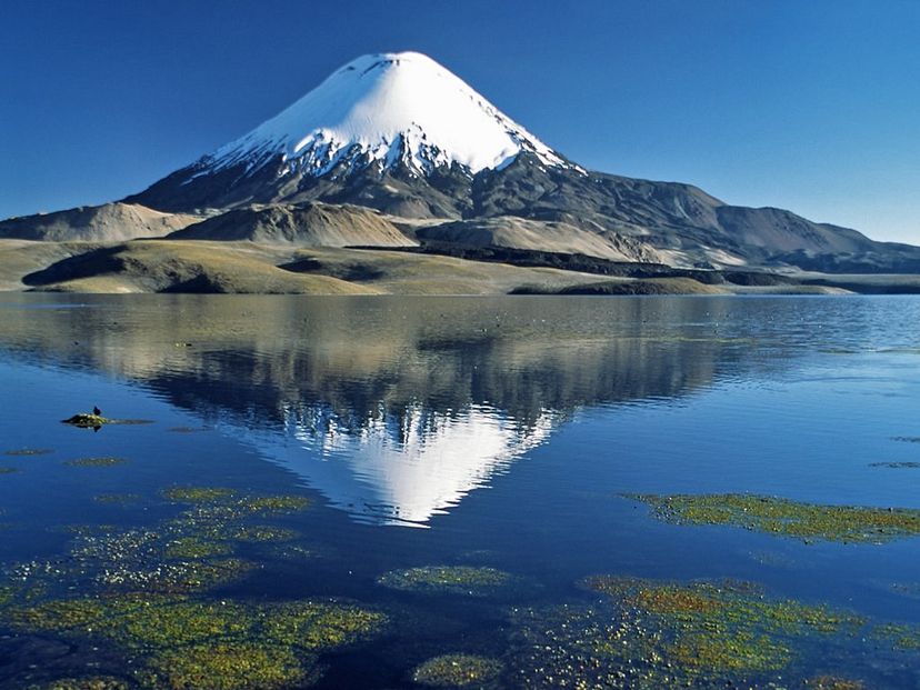 “VISIT TO LAUCA NATIONAL PARK, BIOSPHERE RESERVE" Tour