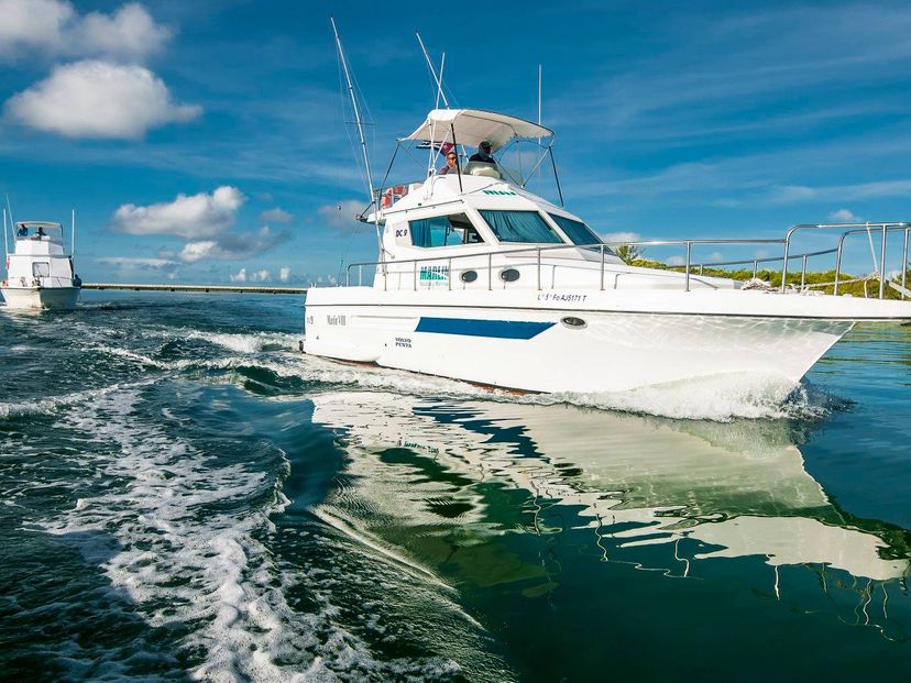 “DEEP SEA FISHING IN JARDINES DEL REY (CAYO COCO Y CAYO GUILLERMO)“ Tour