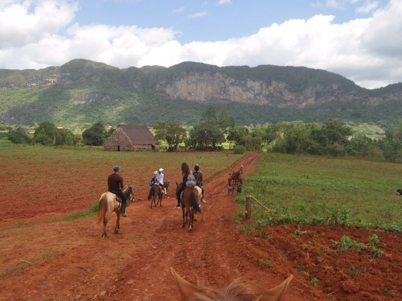 “DAY TRIP HAVANA – VIÑALES: EXPLORE THE VIÑALES VALLEY ACTIVE” Tour, Viñales, Pinar del Río, Cuba.