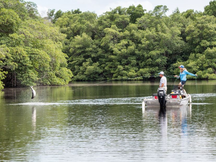 “Fly fishing in Hatiguanico River, Zapata Peninsula” Tour