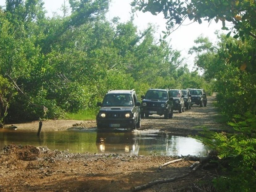 Jeep Safari "NATURE TOUR BIRDWATCHING IN SALINAS DE BRITO"