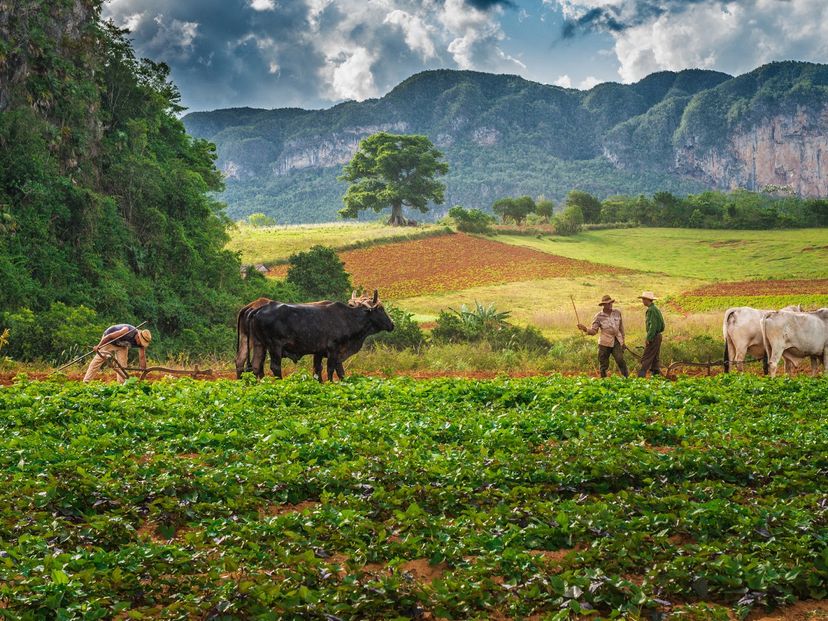 Traditions and customs, Viñales valley National Park, Pinar del Río
