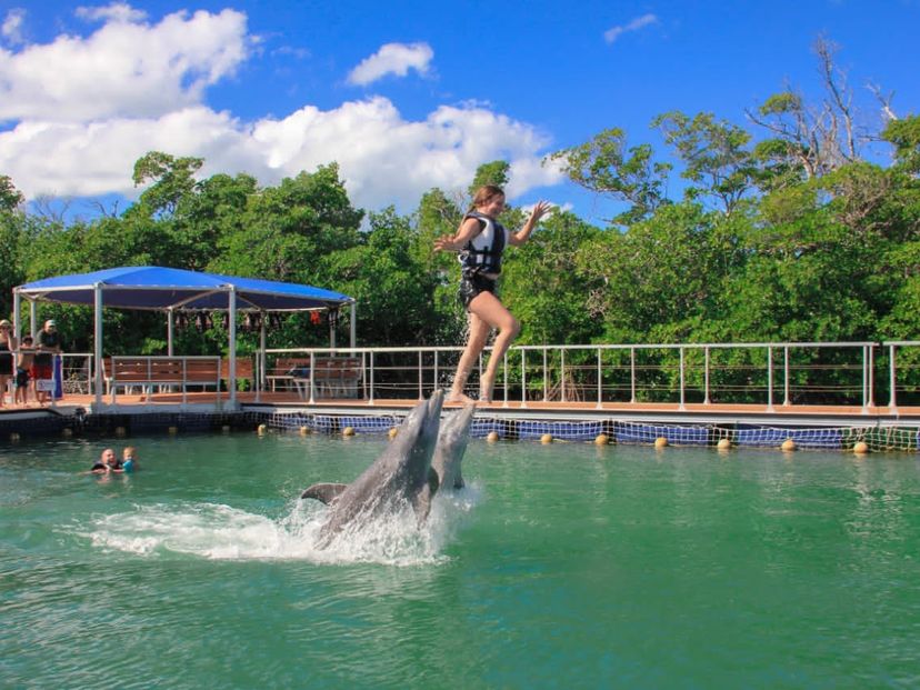 "SWIMMING WITH DOLPHINS IN CAYO BLANCO, VARADERO" Tour, Varadero, Matanzas, Cuba.