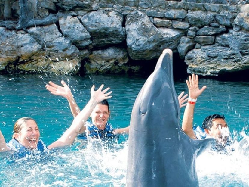 Swim with dolphins in Xel-Ha Park, a fun and exciting experience in Cancun, Yucatan Peninsula. Mexico.