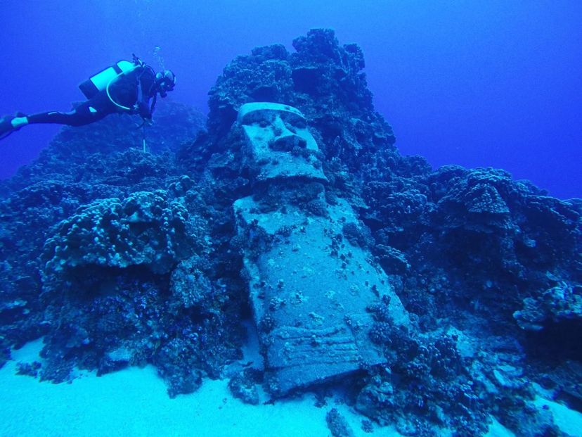 EXCURSION "BUCEO EN LOS MOTUS".