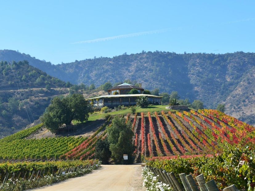 “SANTA CRUZ WINERY” Tour, Colchagua Valley, Chile.