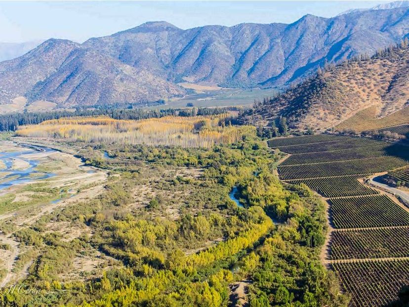 EXCURSÃO "INTRODUÇÃO ÀS VINHEDOS MAIPO".