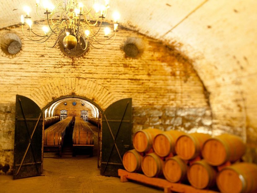 “COUSIÑO MACUL WINERY” Tour, Chile.