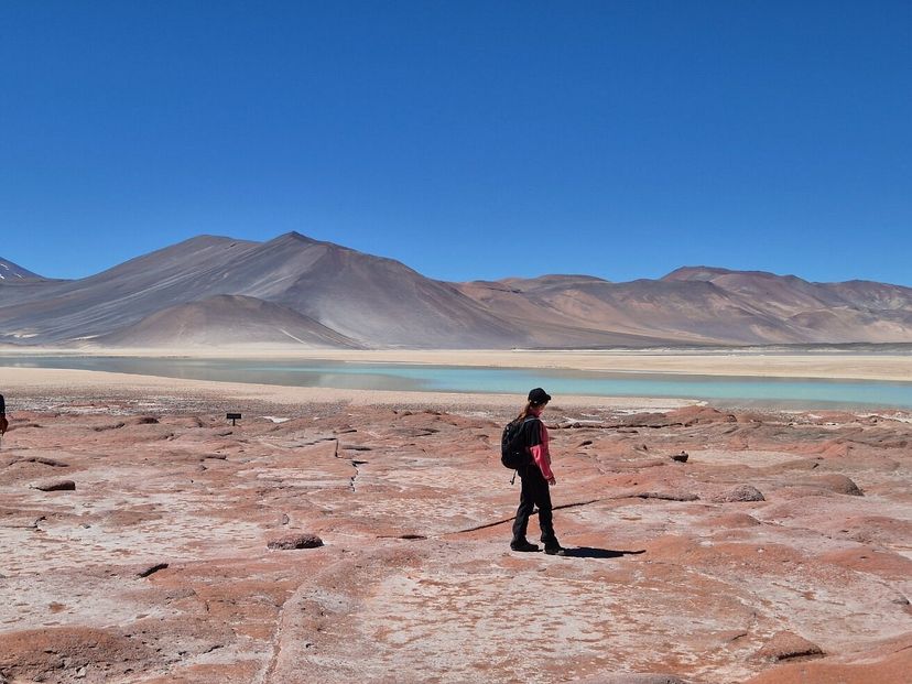 "ALTIPLANIC LAGOONS AND RED STONES + LUNCH" Tour, San Pedro de Atacama, Chile.