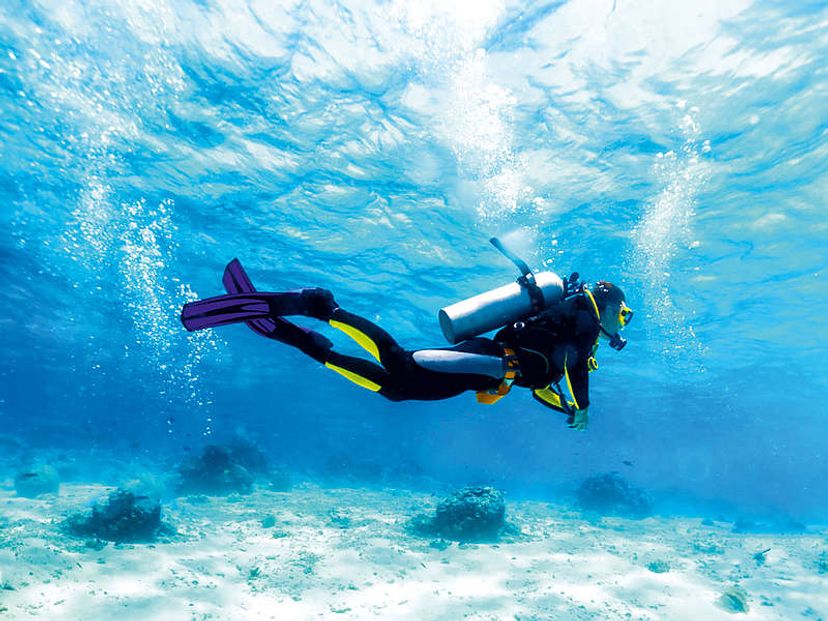 Scuba Diving in Havana