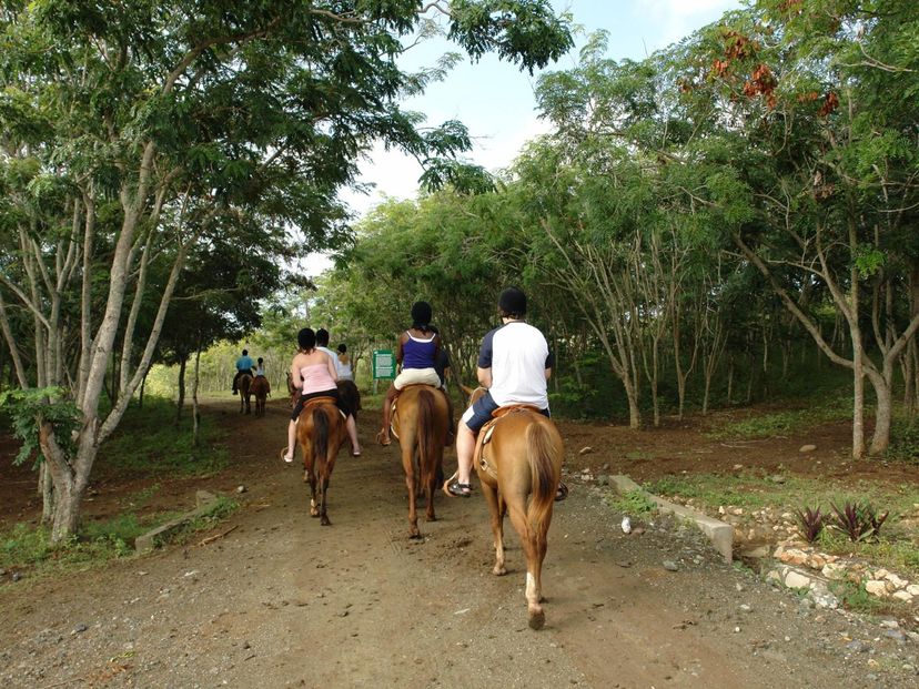 “HORSEBACK RIDING IN ROCA AZUL BIOPARK” Tour, Playa Guardalavaca, Holguín, Cuba.