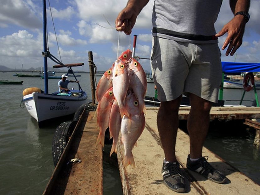 "FISHING IN GIBARA BAY" Tour, Gibara, Holguín, Cuba.