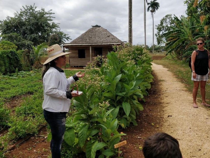 La María Farm, Morón, Ciego de Avila, Cuba