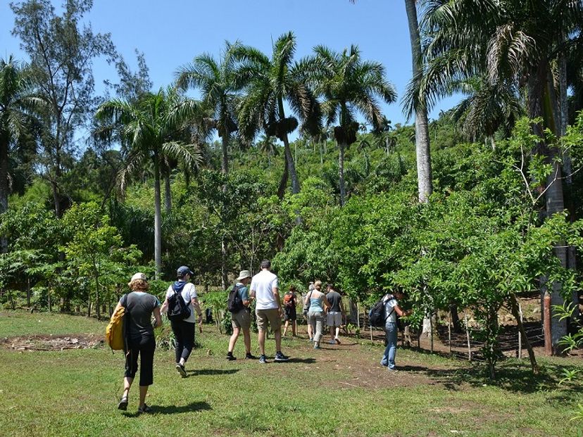 Panoramic View, "Sendero el contento" tour, Las Terrazas.