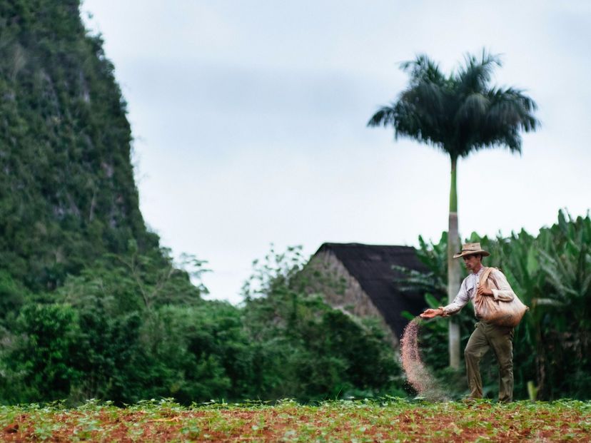 The tobacco farmers, traditions and customs, Viñales valley
