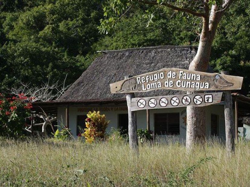 Cunagua wildlife refuge panoramic view, Ciego de Ávila, Cuba.