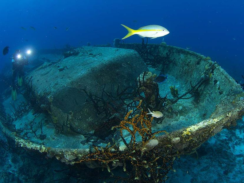“SCUBA DIVING IN BAHÍA DE COCHINOS“ Tour, Península de Zapata Natural Park, Matanzas, Cuba.