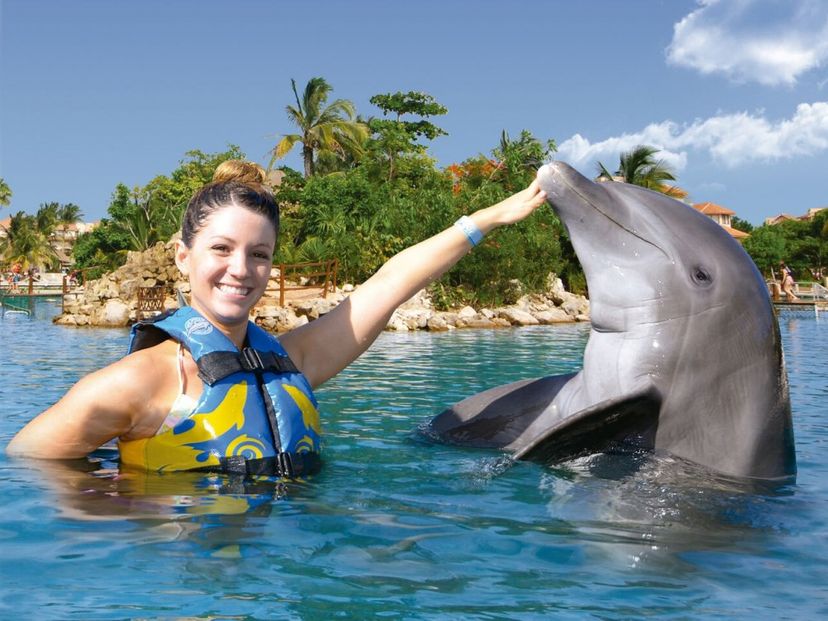 "Dolphins Swim Adventure in Riviera Maya" Tour