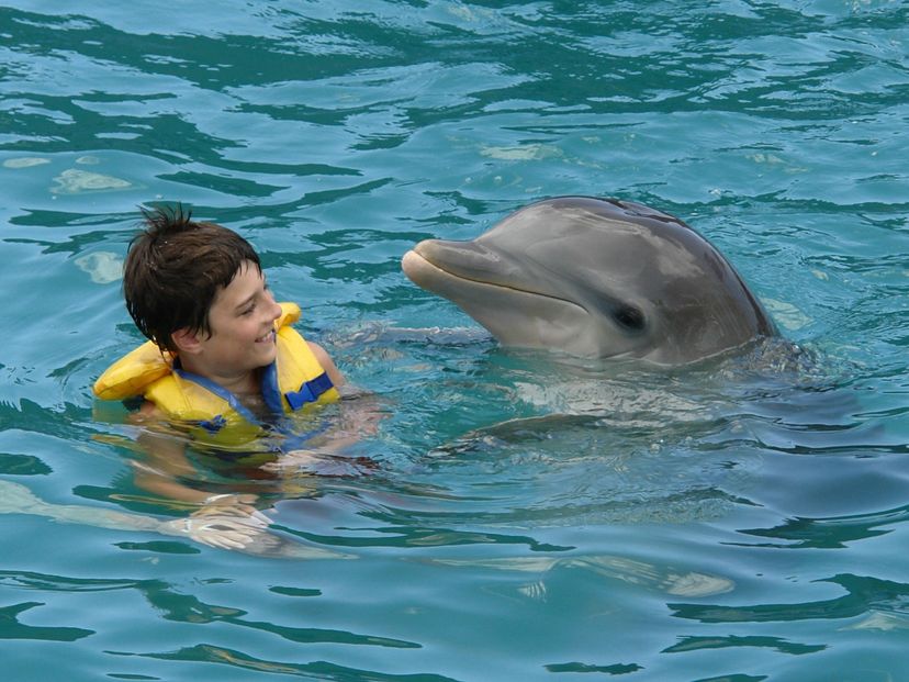 Swimming with dolphins tour at Bahía de Naranjo dolphinarium, Playa Esmeralda, Holguín, Cuba.